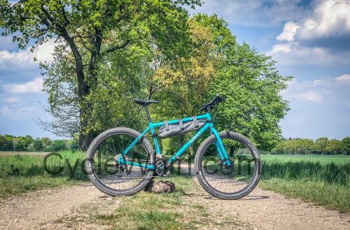 Surly Bridge Club fiche technique et avis